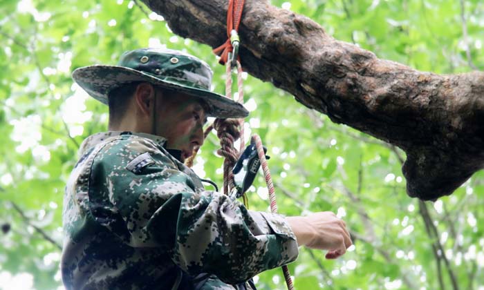 军事夏令营中教孩子们爬树