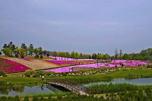 上海辰山植物园拓展基地