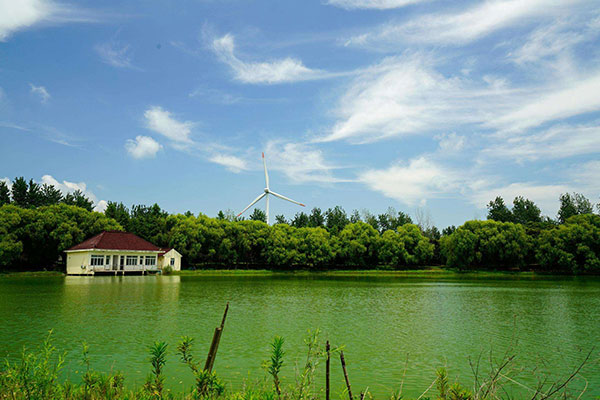 上海滨海森林公园生态拓展训练基地